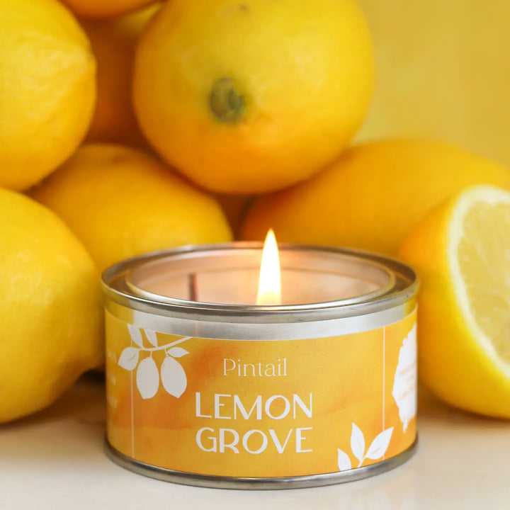 Lemon Grove Paint Pot Small Tin Candle