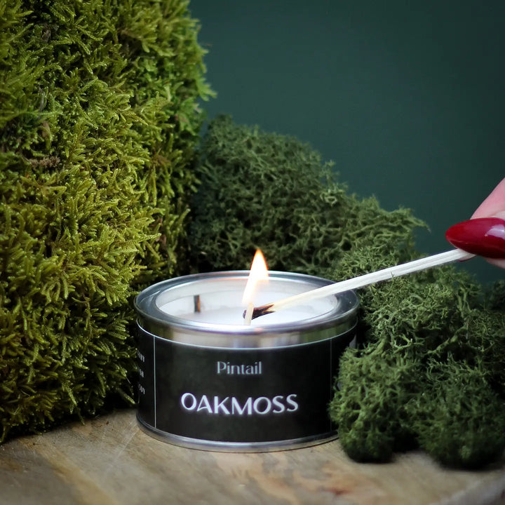 Oakmoss Small Tin Candle