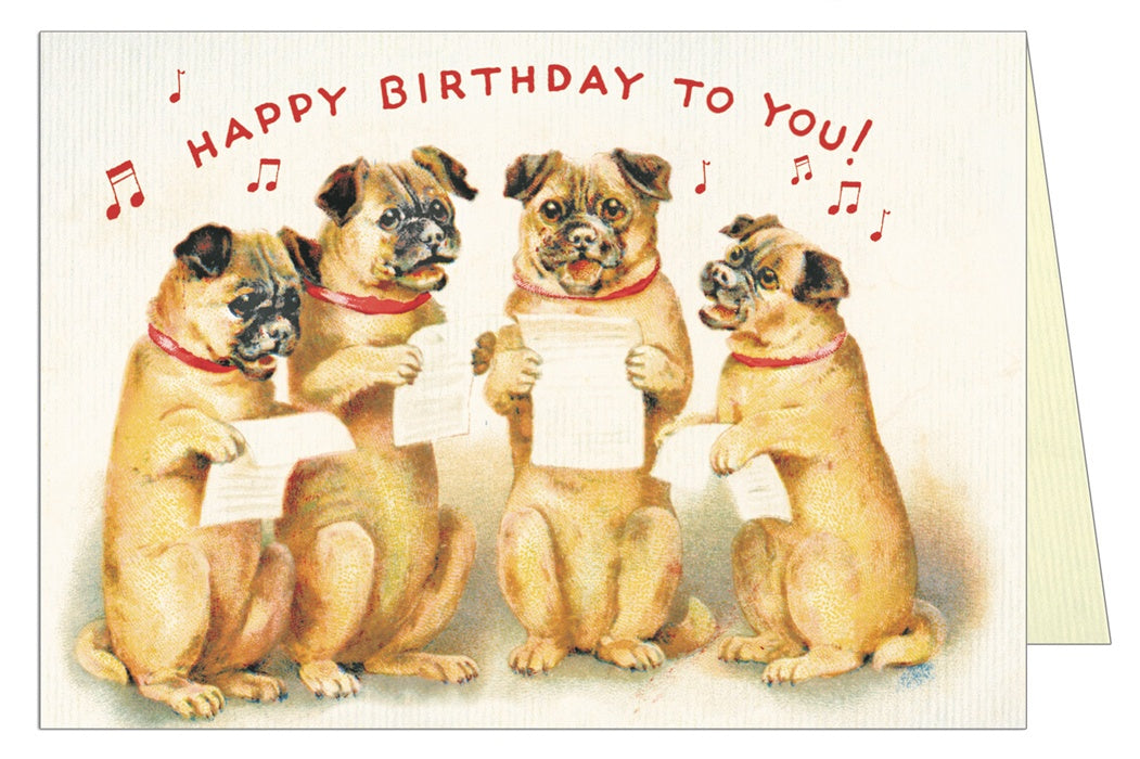 Happy Birthday Dog 4 Greeting Card